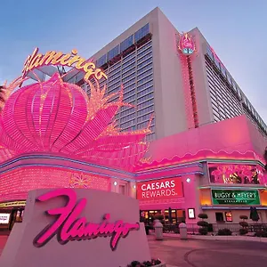 Resort Flamingo Vegas & Casino, Las Vegas